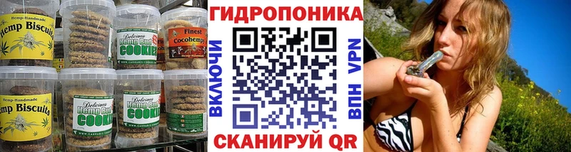 darknet какой сайт Александров Печенье с ТГК марихуана