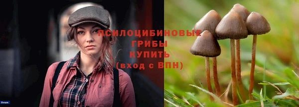 амф Абинск