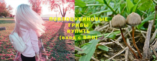 гидропоника Абаза