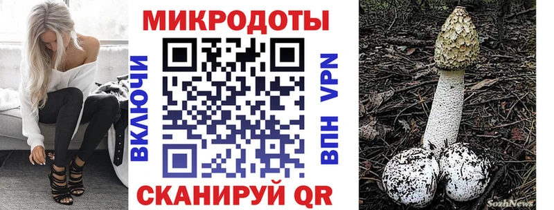 Галлюциногенные грибы Psilocybine cubensis  где продают   Александров 